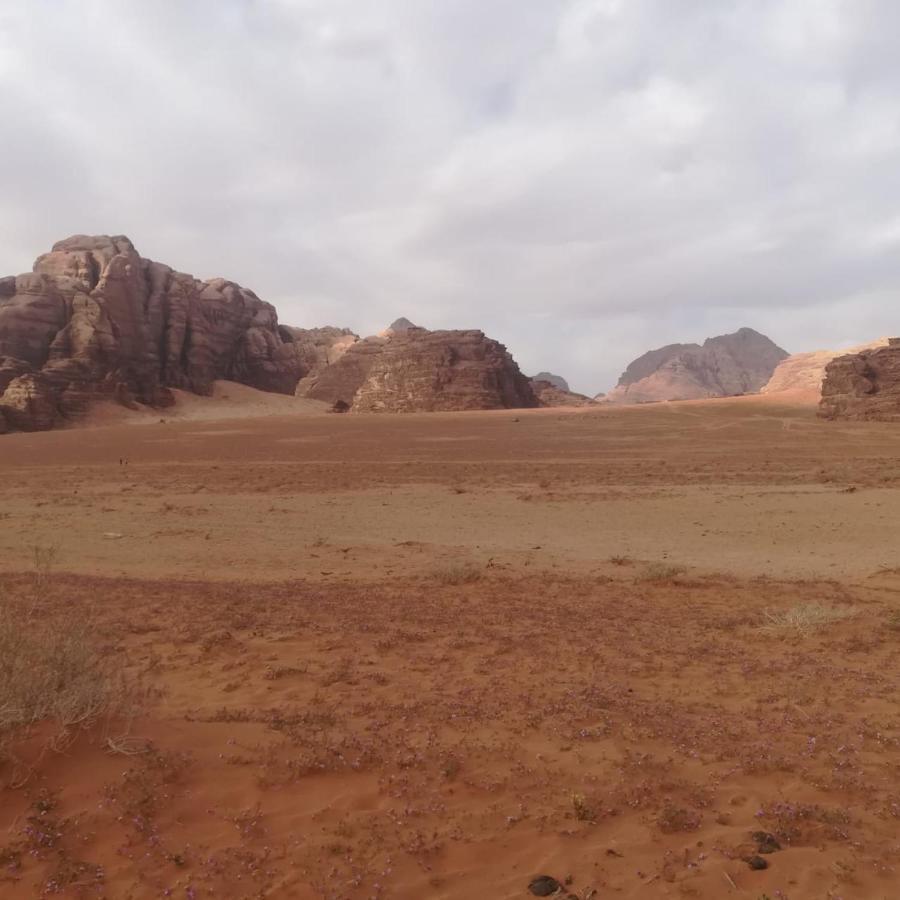 Tente de luxe Star Camp Wadi Rum